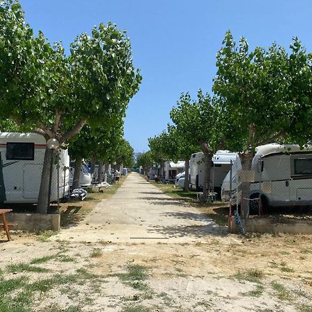 Camping Adriatico مارتينسيكورو المظهر الخارجي الصورة