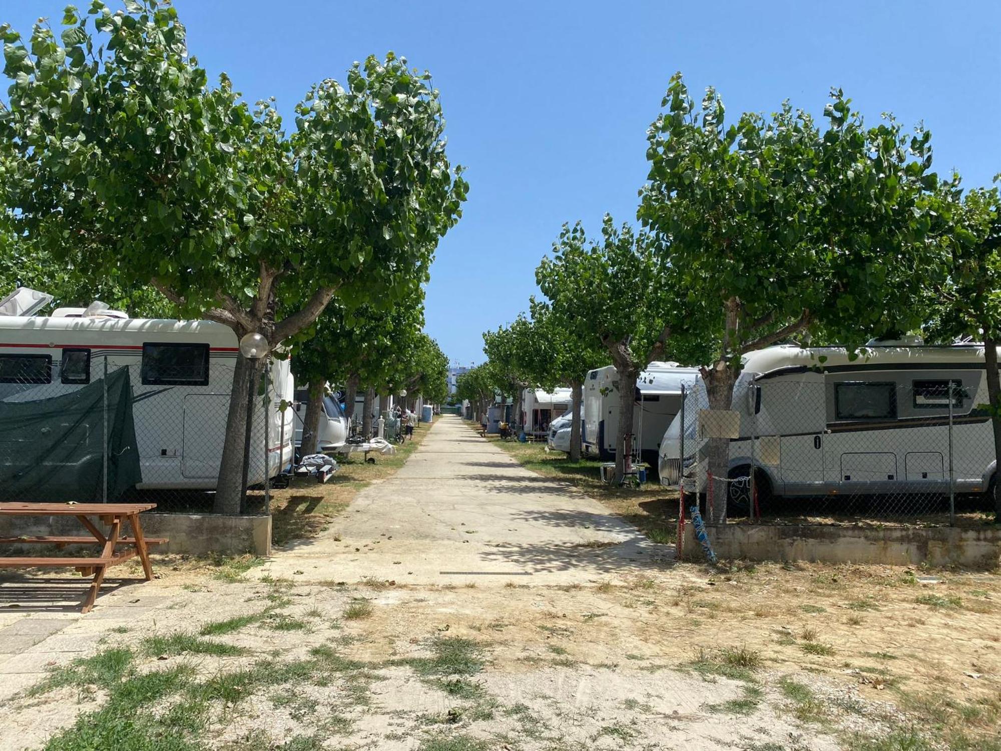 Camping Adriatico مارتينسيكورو المظهر الخارجي الصورة